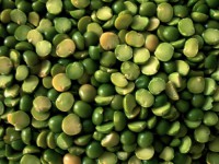alverja verde