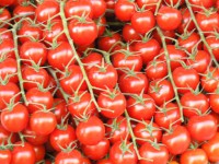tomate cherri