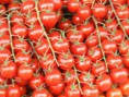 tomate cherri