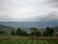 /album/fotogaleria-inicio/a562545-264870896943112-1897333718-n-jpg/