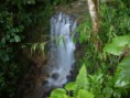 /album/fotogaleria-inicio/a578713-261872657259332-675713794-n-jpg/